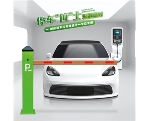 高唐RG-CW系列车位小道闸